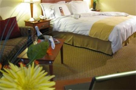 Charleston Airport Hotel North Charleston Rum bild