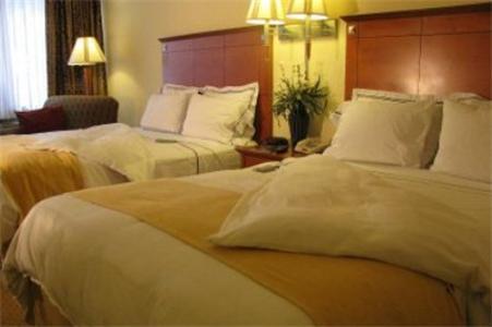 Charleston Airport Hotel North Charleston Rum bild
